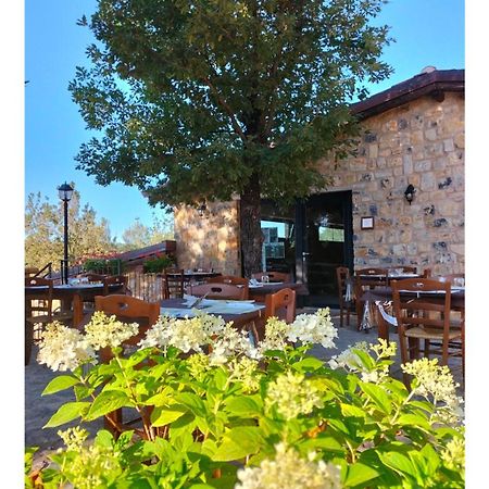 Bed and Breakfast Il Sogno di Teresa Camerota Esterno foto
