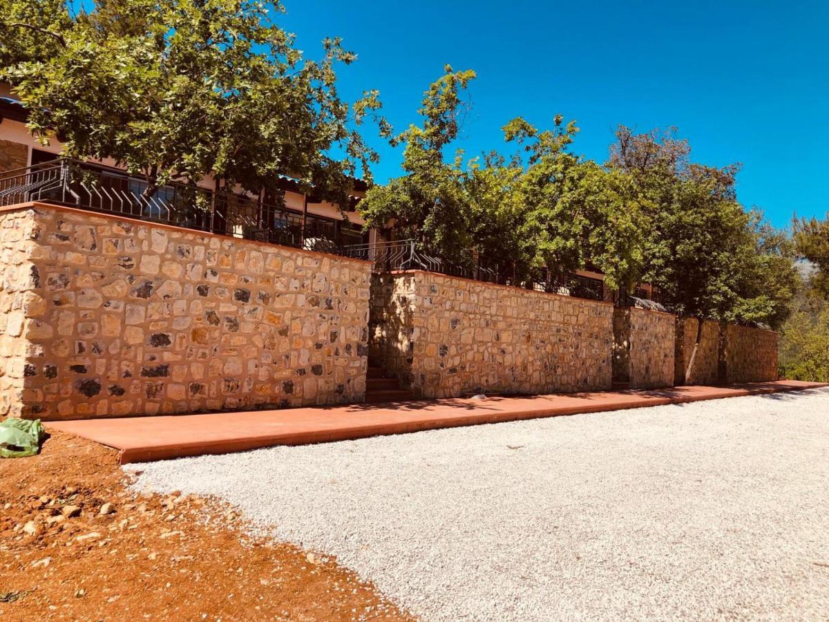 Bed and Breakfast Il Sogno di Teresa Camerota Esterno foto