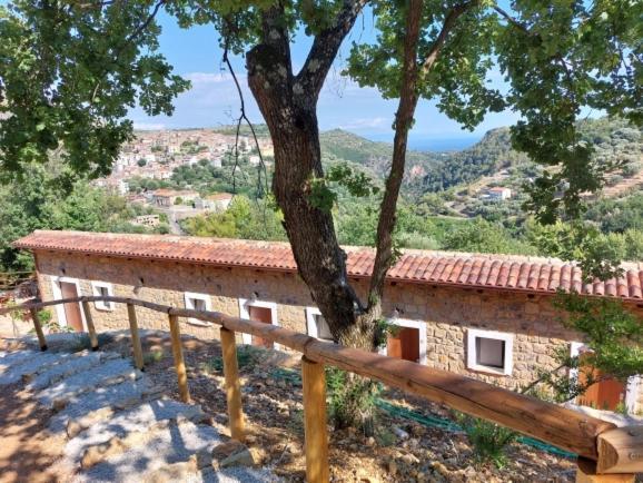 Bed and Breakfast Il Sogno di Teresa Camerota Esterno foto