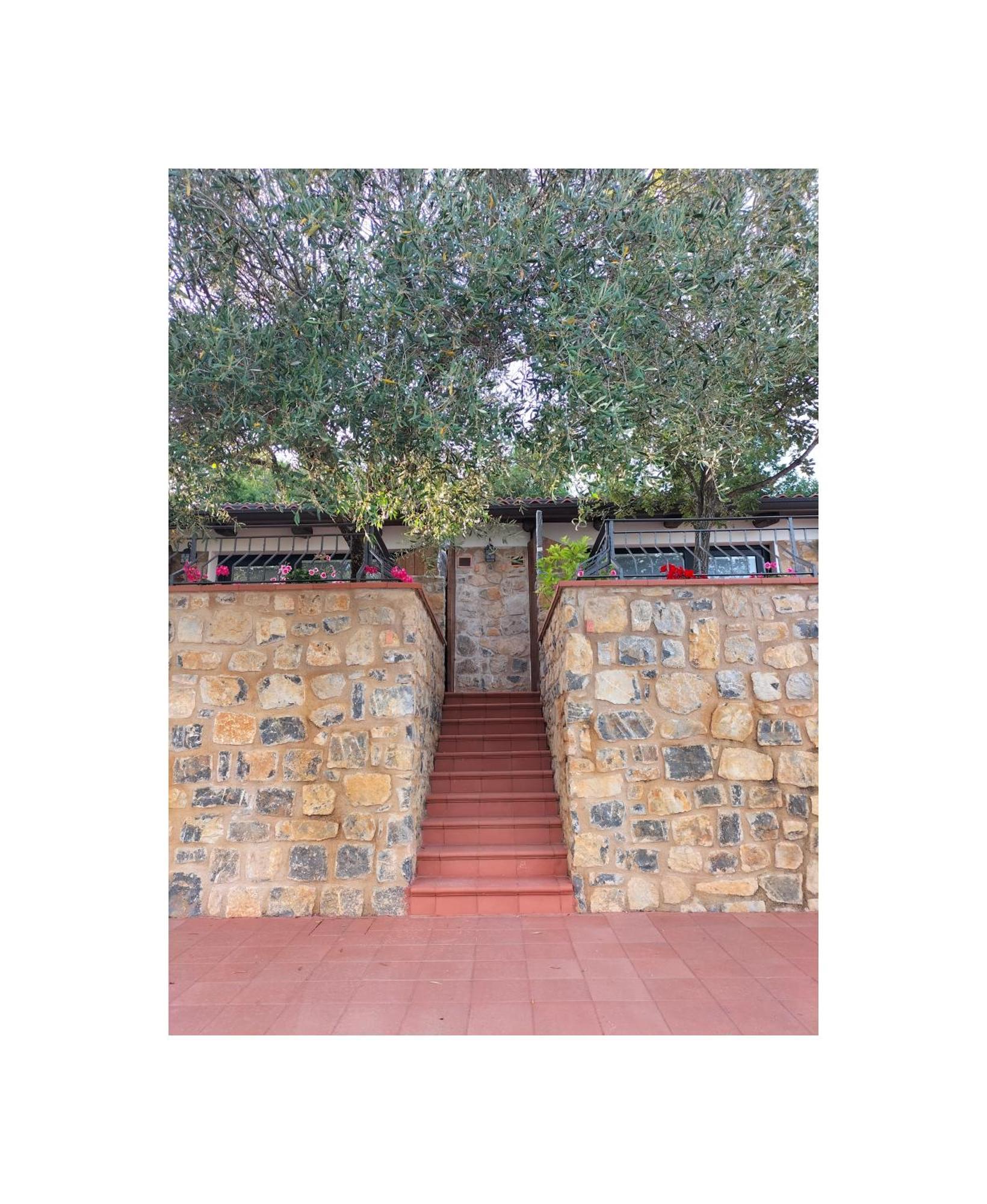 Bed and Breakfast Il Sogno di Teresa Camerota Esterno foto