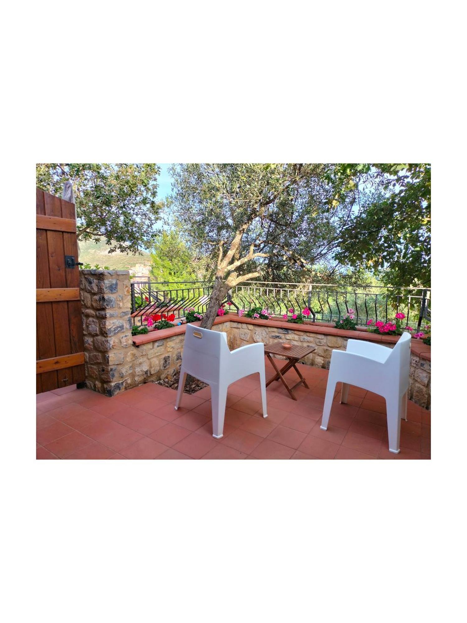 Bed and Breakfast Il Sogno di Teresa Camerota Esterno foto