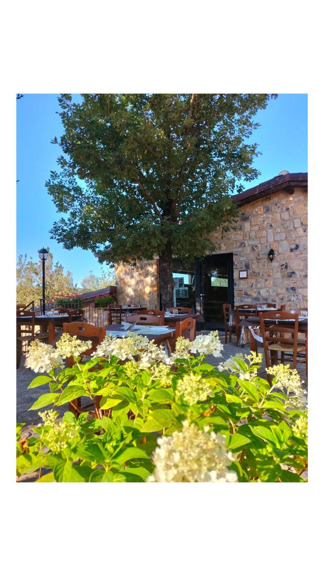 Bed and Breakfast Il Sogno di Teresa Camerota Esterno foto